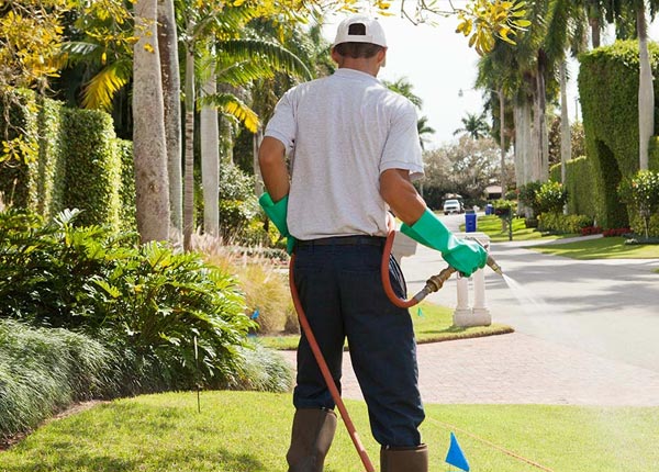 About Salome AZ Pest Control